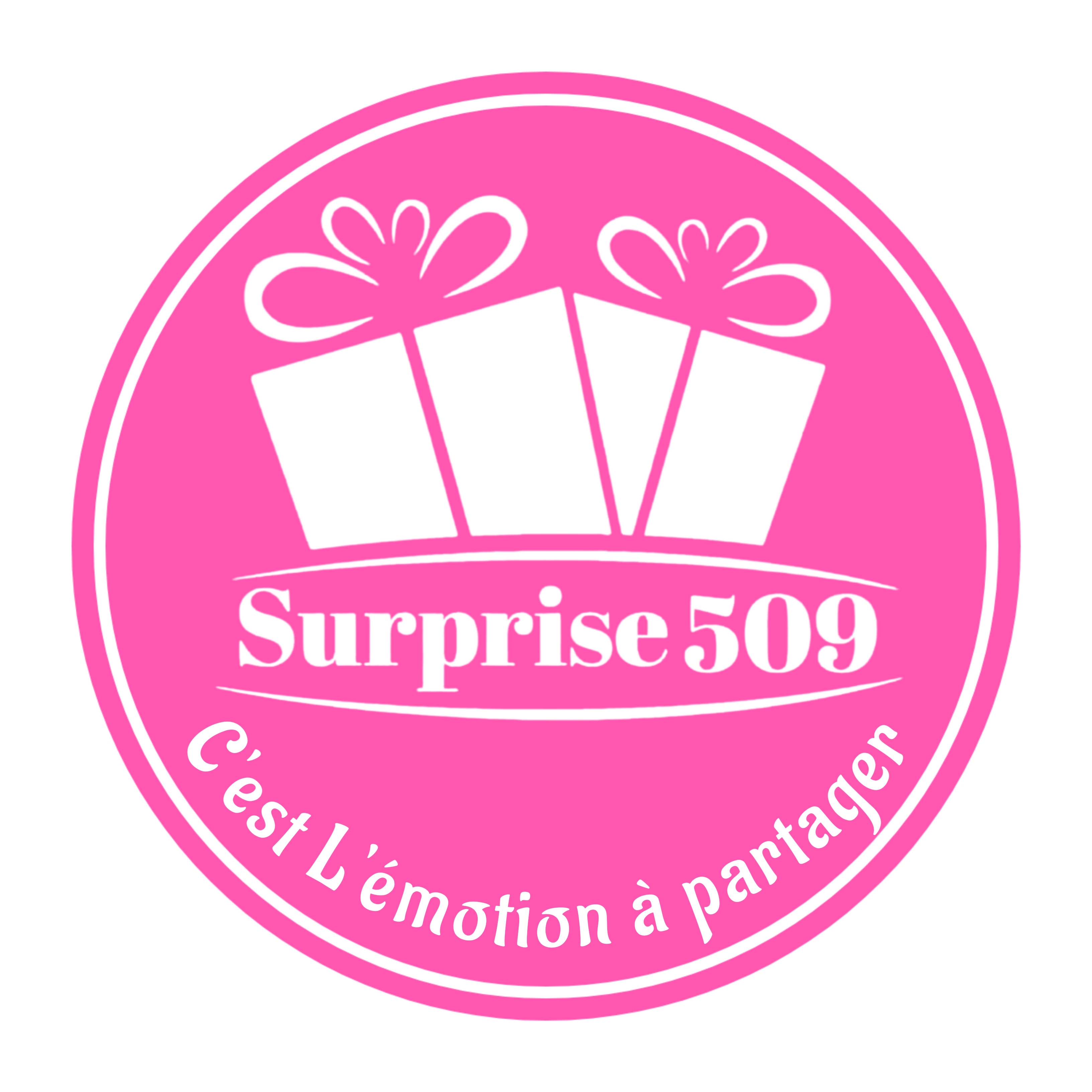 Surprises509